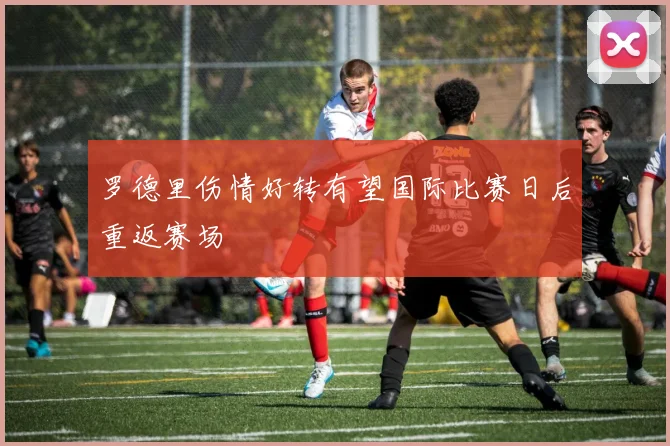 罗德里伤情好转有望国际比赛日后重返赛场